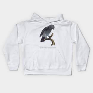 Timneh African Grey Parrot  / Seconde variete du Perroquet Cendre - 19th century Jacques Barraband Illustration Kids Hoodie